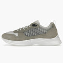Dior B25 Runner Gray