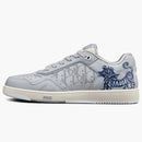 Dior B27 Kenny Scharf Low Top Blue Tiger Print