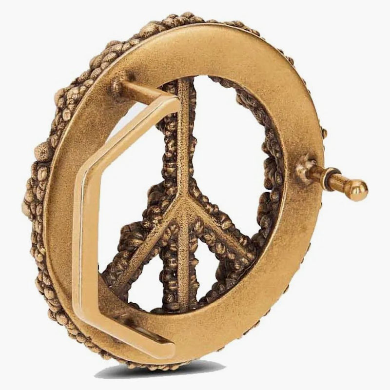 Dior Mír Sign Dior slzy Belts Belt Buckle Antique Gold