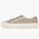 Dior Walk'n'dior nude Oblique Embroidered