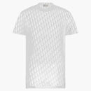 Dior Sheer Oblique T-Shirt White