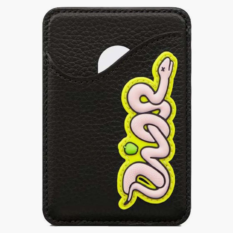 Dior x Kaws Magnetic Magnetic Card Magnetic Card