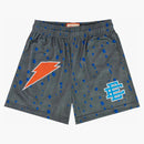 Eric Emanuel X Gatorade Ee Short Grey