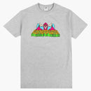 FTP Destructor Tea Heather Gray