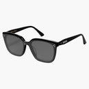 Gentle Monster Palette 01 Sunglasses Black (01)