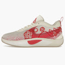 Nike Giannis Zoom Freak 6 Roses (gs)