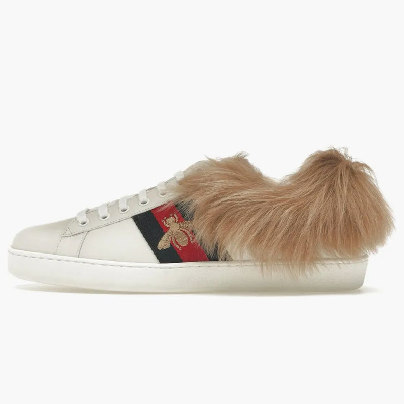 Gucci as dla