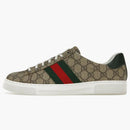 Gucci Ace Web Beige Ebony