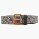 Gucci Belt Supreme Kingsnake Brown