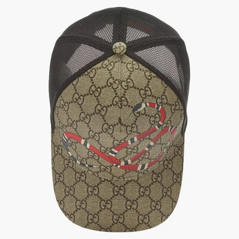 Gg gg gg supreme kingsnake in velcro cinghia da baseball berbo beige/marrone