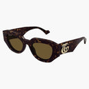 Gucci Gafas de sol ovales Brown (GG1421S-002-Fri)