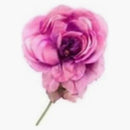 Gucci Silk Flower Brooch Pink