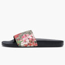 Gucci Slides Bloom Supreme
