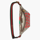 Gucci Tiger GG Bag Beige/Ebony