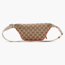 Gucci X the North Face Belt Bag Beige/Ebony