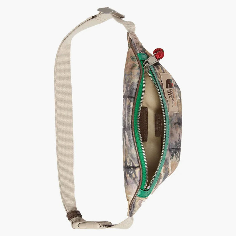 Gucci x North Face Belt Bag Multicolor