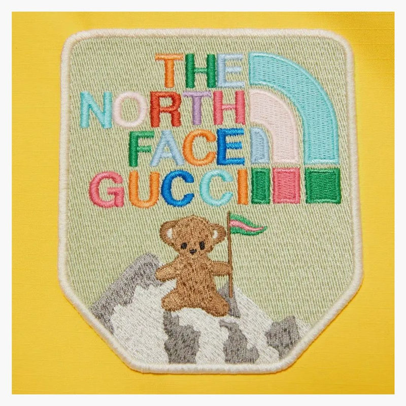 Gucci X the North Face Cotton Jacket Multicolor