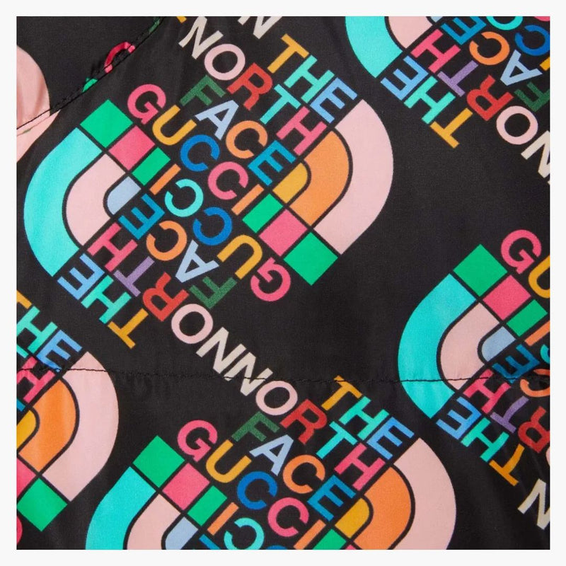 Gucci X the North Face Down Jacket Multicolor/Black