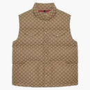 Gucci X the North Face Down Vest Beige/Ebony