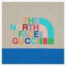 Gucci X the North Face Hooded Jacket Ivory/Green