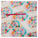 Gucci X the North Face Jacket Multicolor/Ivory