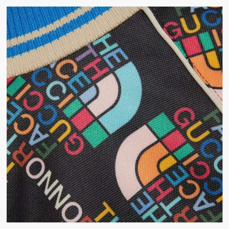 Gucci X The North Face Zip Jacket Multicolor