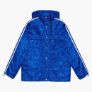 Giacca di bomber adidas Gucci blu cobalto
