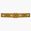 Gucci X Adidas GG Marmont Belt Beige/Brown