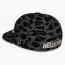 Hellstar Cheetah Print Fitted Hat Black