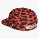 Hellstar Cheetah Print Fitted Hat Red