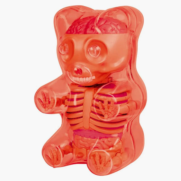Jason Freeny 4d Maestru Anatomie amuzantă de cauciuc Figura Clear Red