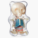 Jason Freeny 4D Master Anatomy Anatomy Ruby Bear Figura clara