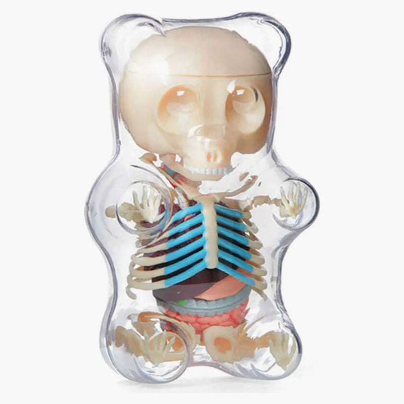 Jason Freeny 4D Master Funny Anatomy ruby ​​Bear Figure Clear