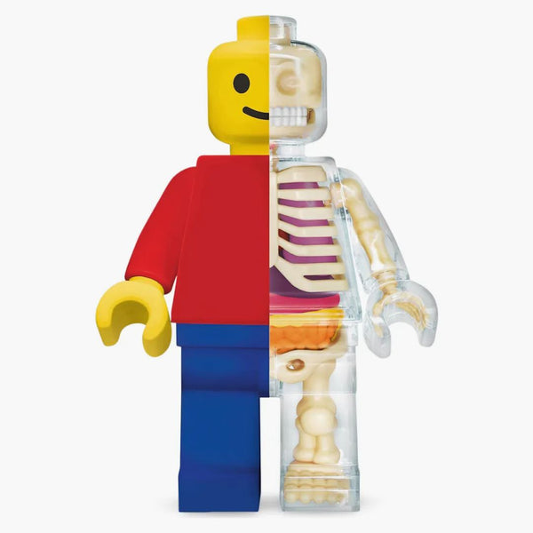 Jason Freeny Brick Man Anatómico gran rompecabezas