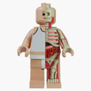 Jason Freeny Mighty Jaxx Bigger Micro Anatomic Schematic Figure