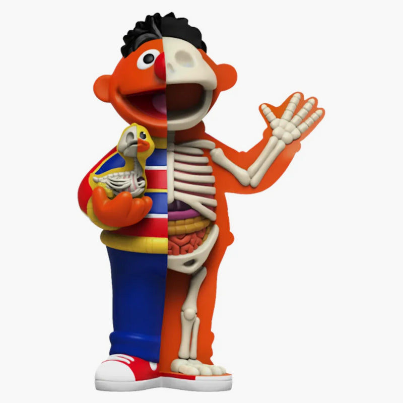 Jason Freeny xxray Plus: 8.5 "Ernie