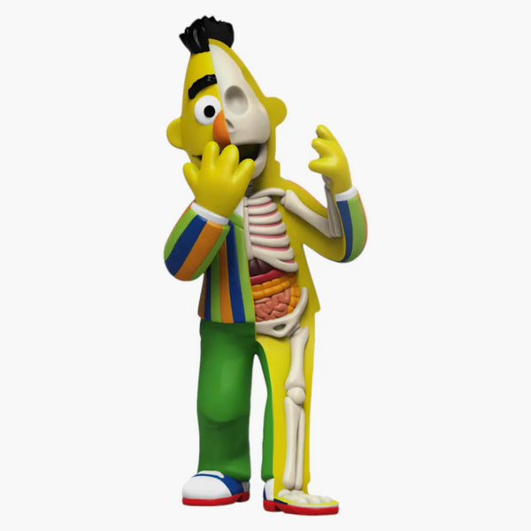 Jason Freeny xxray Plus: 9 "Bert