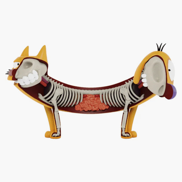 Jason Freeny xxray Plus Catdog