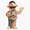 Jason Freeny XXRAY Plus Ernie Retro Edition figure