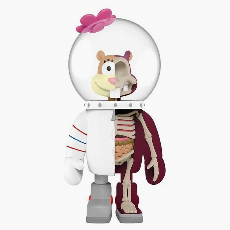 Jason Freeny X Nickelodeon Spongebob Hidden Dissectibles Sandy Figure Multi
