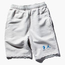 Jordan Union M J Flc Short (asia Sizing) Photon Dust