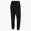 Jordan X Paris Saint-germain Fleece Pants Blue/purple Multi