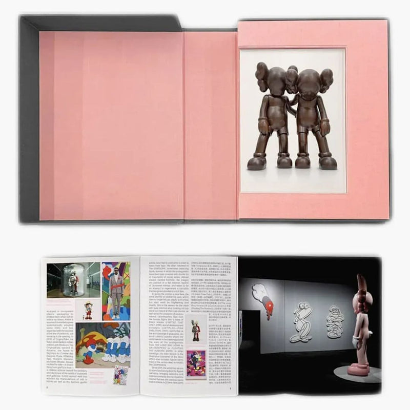 KAWS: Po drodze monografia 2020