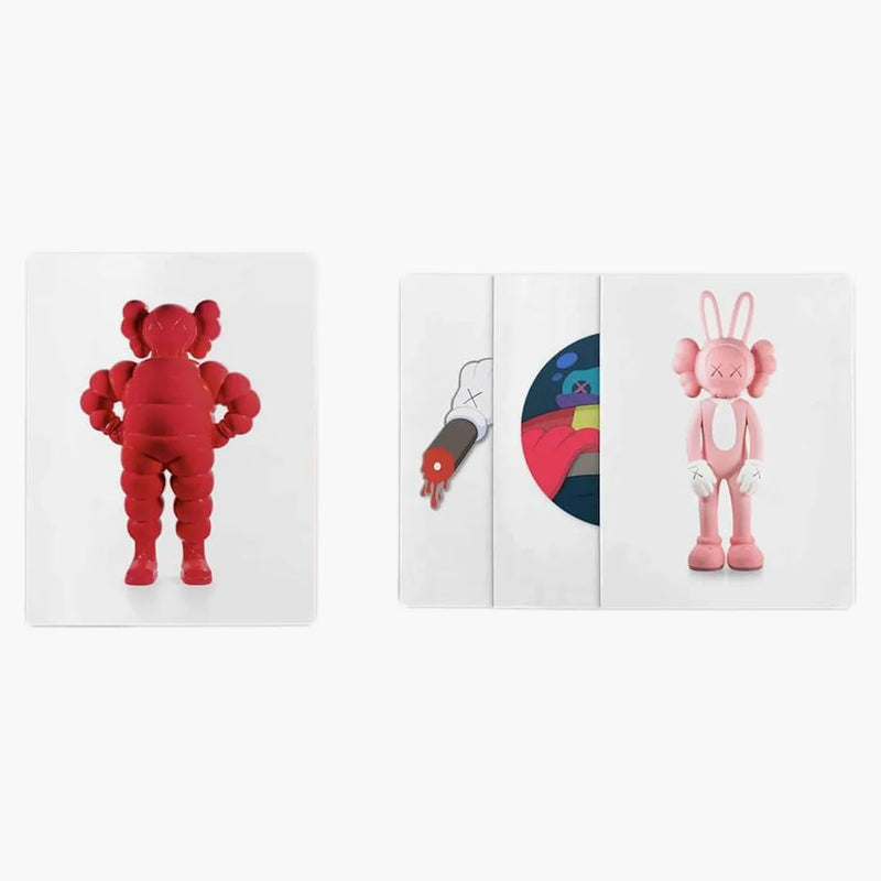 KAWS: Po drodze monografia 2020