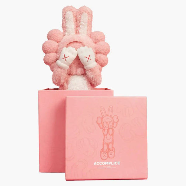 KAWS ANCENCICE PLUS (wydanie 2000)