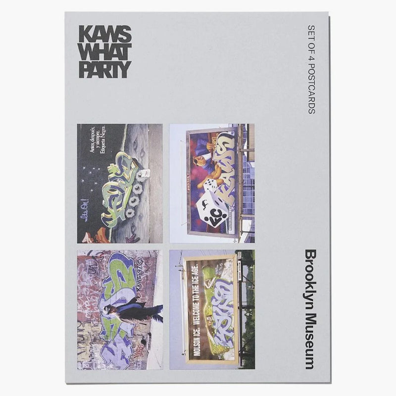 KAWS Brooklyn Museum Graffiti Postcard zbiór 4
