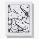 Kaws Brooklyn Museum Urge Plate Set av 4