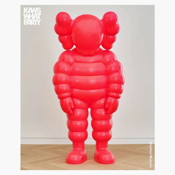 Kaws Brooklyn Museum vilken fest affisch
