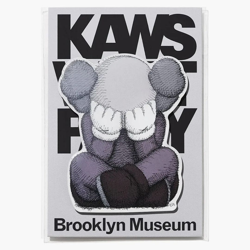 Kaws Brooklyn Museum Vilket parti separerade magneten Gray