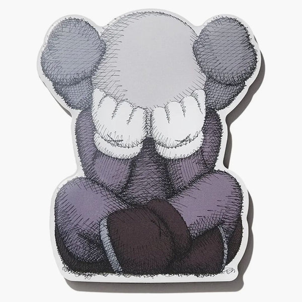 Kaws Brooklyn Museum Vilket parti separerade magneten Gray